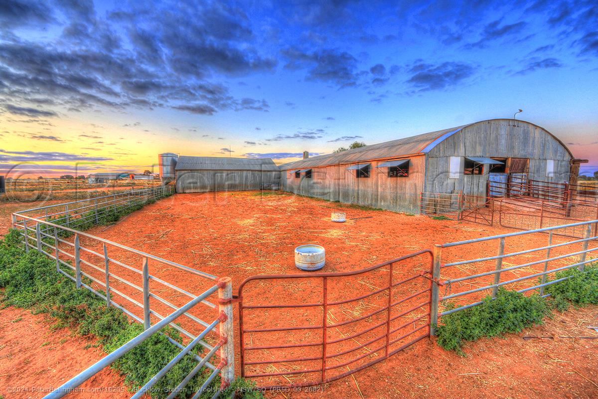 Peter Bellingham Photography Bucklow Station - Woolshed - NSW SQ (PB5D 00 2682)